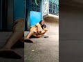 Funny Comedy