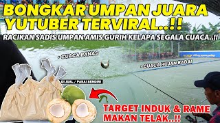 Download lagu REVEALING THE MOST VIRAL BAIT RECIPE IN THE CYBER UNIVERSE!! A SPICY AND SAUCY CARP BAIT MIX FROM... mp3
