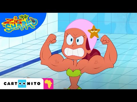 Training for a marathon is impossible! | Zig & Sharko | Cartoonito Africa