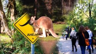 N.U.in Australia 2014 - Benjamin Reed