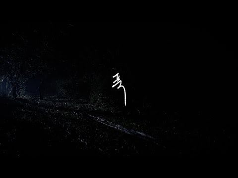 비디오 26