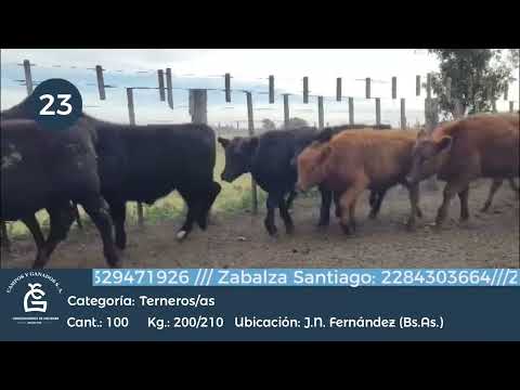 Lote M Y H - Juan N Fernandez Bs As