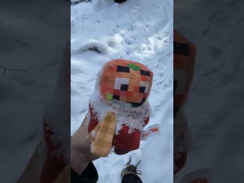 Paluten verläuft sich im Wald...