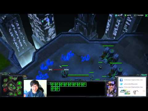 SlayersDragon (Dragon) Nuke Party - Starcraft 2
