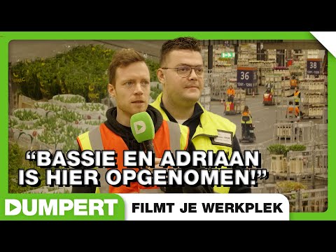 's Werelds beroemdste bloemenveiling in Dumpert Filmt Je Werkplek!