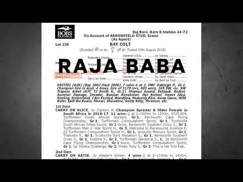 Lot 236: Snitzel x Carry On Alice colt