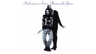 Shakespear&#39;s Sister - Goodbye Cruel World