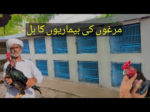 Ustad safdar//bemareyo ka hal by ustad safdar