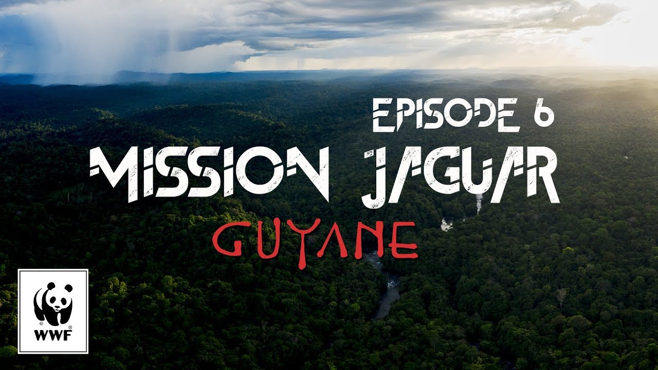 Mission jaguar Guyane - Épisode 6