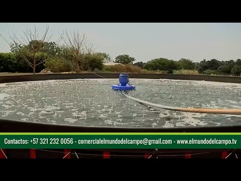 23 ENE   CAP 1   PISCICULTURA FINCA LA ESPERANZA SISTEMAS ACUICOLAS SAS    PARATEBUENO  CUNDINAMARCA