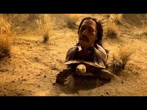 Timballmastaz - Tortuga