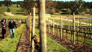 preview picture of video 'Wicks Estate Wines - An Exclusive Introduction'