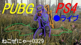 【PS4 】がばいへたか【PUBG 】 あたたたたかい目で.....