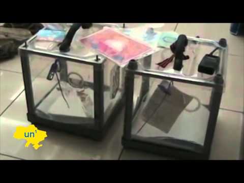 Russian Insurgents Arrested: Ukrainian forces foil election day Don Cossack terror attack in Luhansk