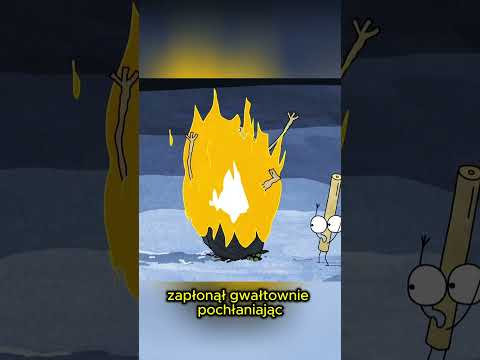 Prawda ukryta była w pożarze lasu… który widział tylko kij