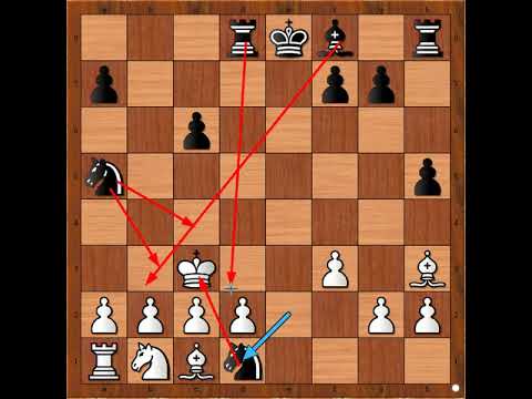 Neverovatni mat po meni jedan od najlepših svih vremena 💫💫💫💫💫 ROBBINS vs SHOWALTER #2825