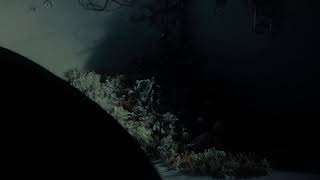 Alice Glass - White Lies (lyrics)