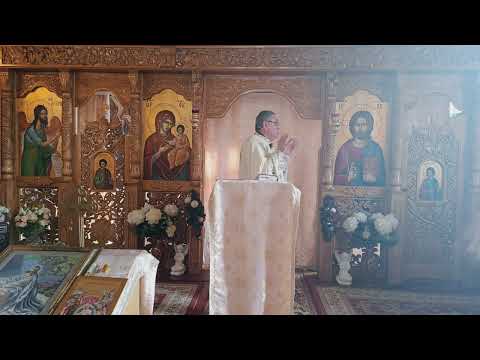 Fr. Nicolae Pavel - How can I govern my life wisely?