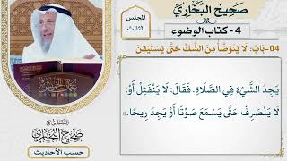 [137] حديث: لا ينفتل حتى يسمع صوتا أو يجد ريحا [9كتاب الوضوء - باب لا يتوضأ من الشك حتى يستيقن]