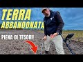 A Field Forgotten By Everyone But Not By Our Metal Detector