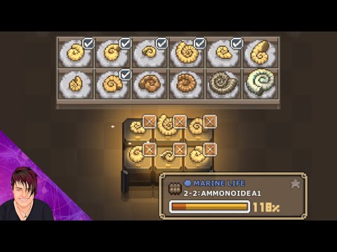 Ammonoidea - Tap! Dig! My Museum! | Rosie Rayne - YouTube