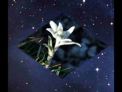 STELUTIS ALPINIS - Coro Alpino Lecchese