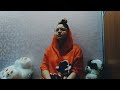Billie Eilish Billie Bosa Nova Cover