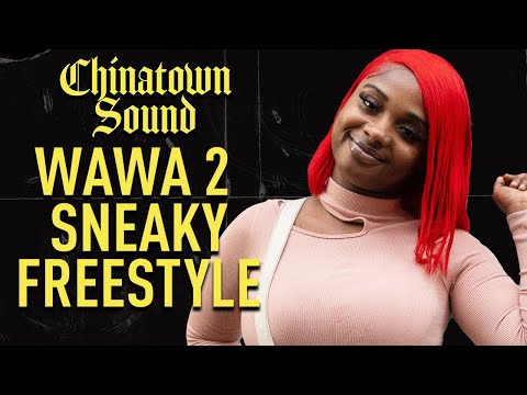 Chinatown Sound - Wawa 2 Sneaky - Freestyle