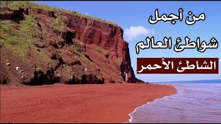 من أجمل شواطئ العالم ’’ الشاطئ الأحمر ’’ ستندهش من جماله ! من أجمل شواطئ العالم ’’ الشاطئ الأحمر ’’ ستندهش من جماله !