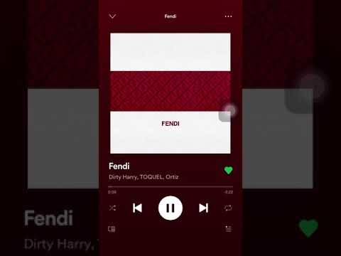 Dirty harry X Toquel