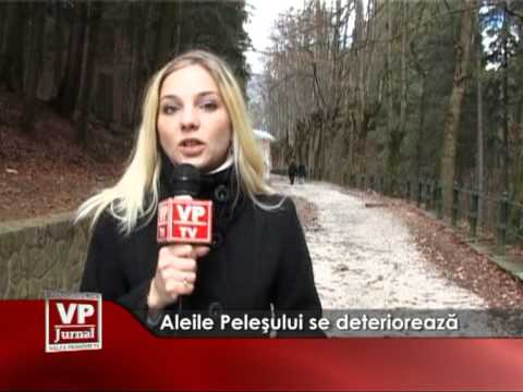 Aleile Peleşului se deteriorează