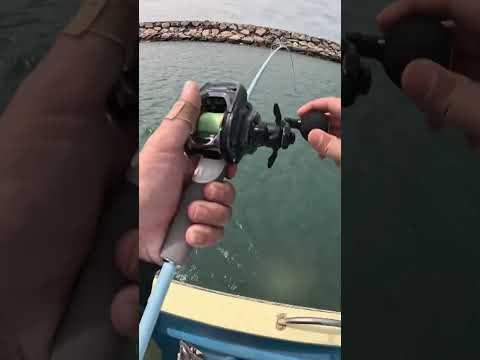 🎣 Fishing Adventure – Catch Bigger Fish