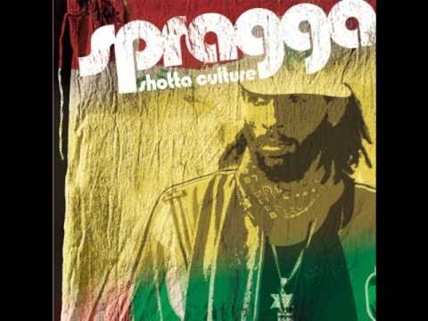 Spragga Benz -More life (feat Stephen Marley, Sizzla, Queen Ifrica & Jah Cure) [Venybzz]