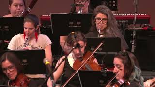 Blackbird performed by Denver Rock Orchestra