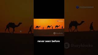 Mansa Musa's Legendary Pilgrimage to Mecca!