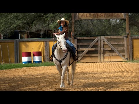 afbeelding Adventures of Pepper and Paula, The