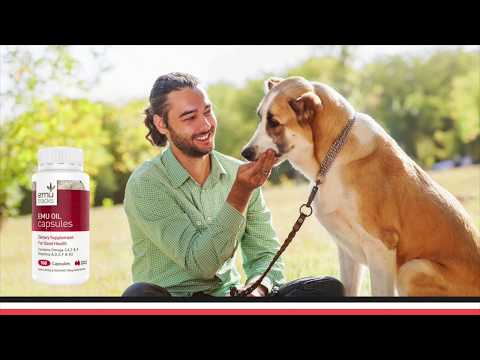 Emu oil is the secret of keeping your pet healthy - Emu Tracks