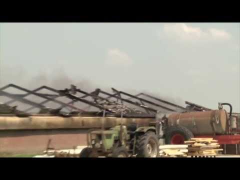 Scharrelkippenstal verloren in Kelpen-Oler