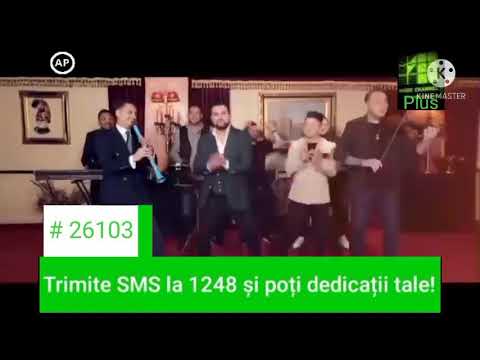 Florin Salam, Lele, Tzancă Uraganu & DeSanto - Lele Și Salam - La Music Channel Plus