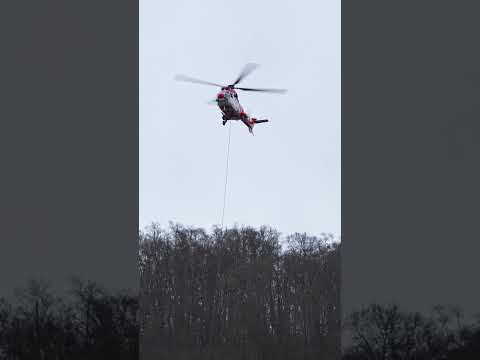 Heli Logging - Super Puma AS332 c1 - Heliswiss International  #aviation