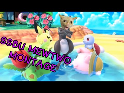 Mewtwo the deformed cat fetus | SSBU montage |
