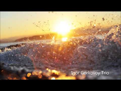 Splashing in the Sun, Igor Gorkovoy
