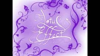 The Lotus Effect - Seeker