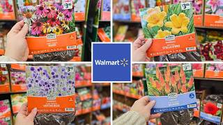 Walmart Bare Root Perennials Are In! Best Summer Bulbs | March 2026