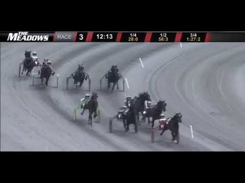 The Meadows - 3 Races $20,000 TROT'S PA STALLION SERIES May 15, 2021
