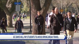 UC Davis spring break