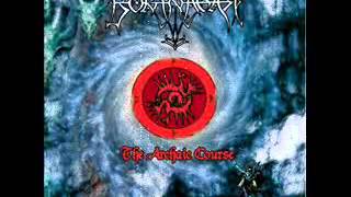 Borknagar  - &quot;Fields Of Long Gone Presence&quot;