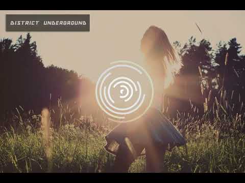 Eche - Joachim Pastor