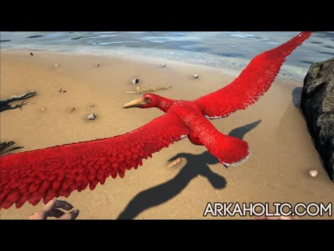 How To Max Level Pelagornis 😹 Best Wight Reduce For Organic Polymer🤩 ARK Survival Evolved The Island