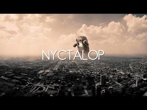 Paige - Franky Wah - Ivory - Monkey Safari - RÜFÜS DU SOL - Amalle - Dosem • Red Sea | NYCTALOP MIX